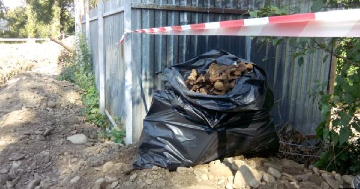 В Івано-Франківську комунальники випадково знайшли масове поховання жертв НКВС
