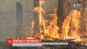 В Чернобыльской зоне вспыхнули 20 гектаров леса