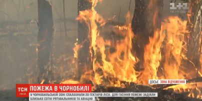 В Чернобыльской зоне вспыхнули 20 гектаров леса