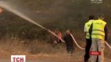 Масштабні пожежі в Ізраїлі уряд прирівнює до терактів