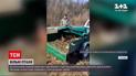 Новости Украины: на Волыни полсотни фазанов выпустили в дикую природу