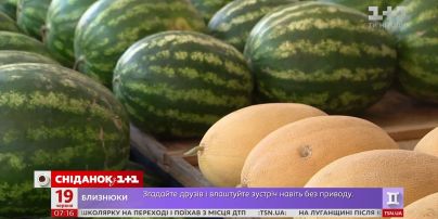 Експерти прогнозують багатий урожай баштанних в Україні - Економічні новини