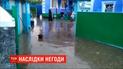 Затопленные огороды и дома: в Винницкой области прошел мощный ливень