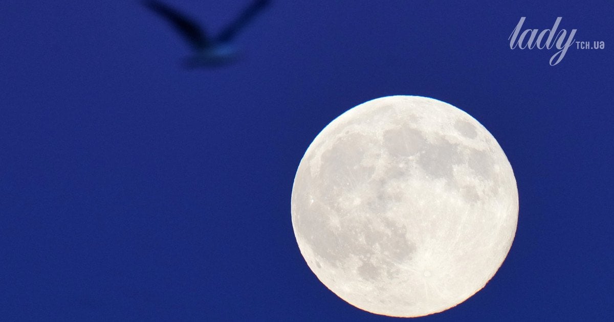 Повний місяць у знаку Водолія 29 липня 2026 року