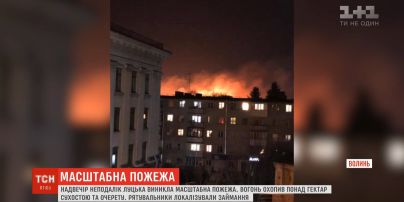 Масштабна пожежа спалахнула неподалік Луцька: вогонь охопив понад гектар сухостою
