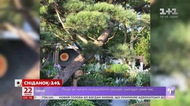 Чим запам'ятається цьогорічний британський фестиваль квітів Chelsea flower show