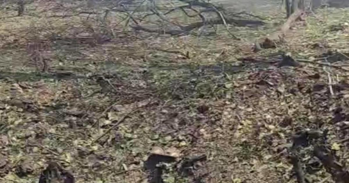 Окупанти обстріляли Краматорськ: є жертви