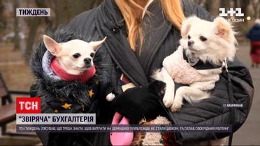 Новости недели: сколько стоит иметь домашнего питомца