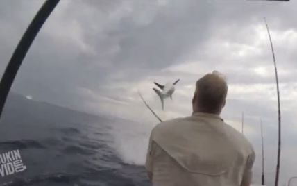 В Калифорнии акула буквально взлетела над водой, ужаснув рыбаков