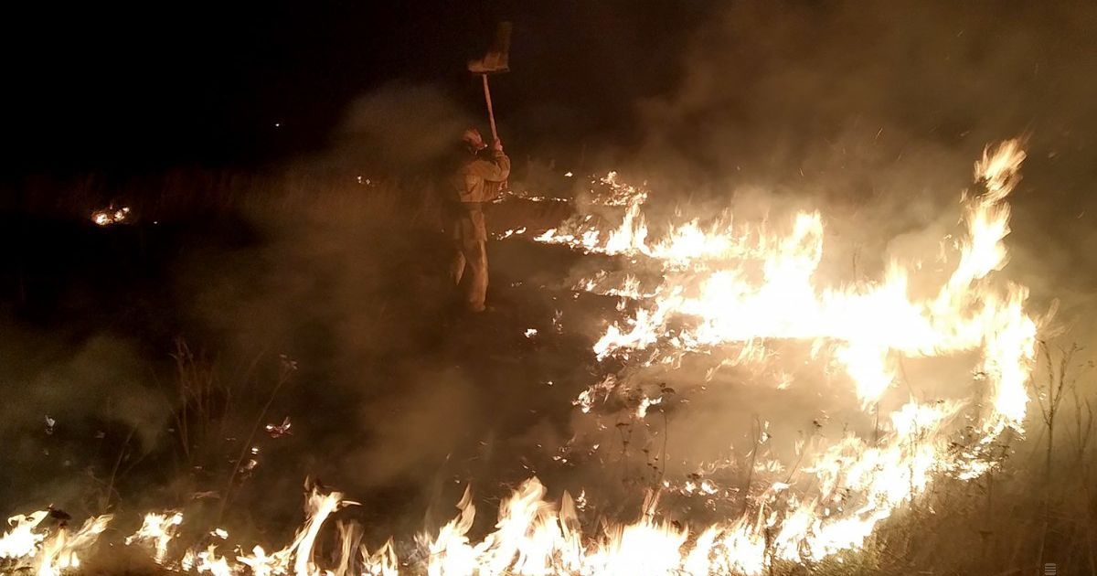 В Житомирской области горит лес: пожарные сбросили уже более 70 тонн воды