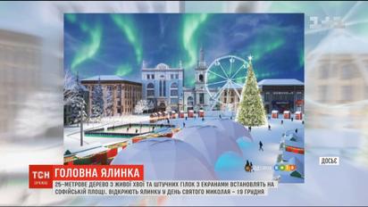 На Софийской площади установят 25-метровое дерево с живой хвои и искусственных веток
