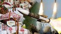 Будут ли ракетные обстрелы на Пасху