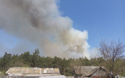 Вогонь і стовпи диму. Під Конотопом лісова пожежа нажахала жителів села
