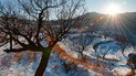 Гороскоп на 21 січня для всіх знаків Зодіаку