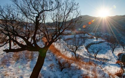 Гороскоп на 25 січня для всіх знаків зодіаку: день, коли потрібно відмовитися від різких рухів