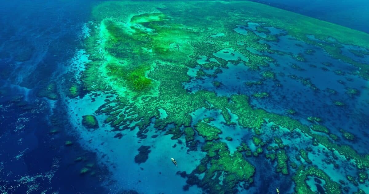 "Клаптик" стародавньої Землі прилип до дна Тихого океану