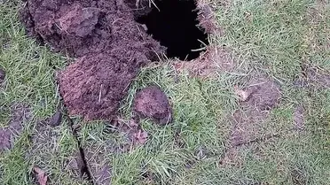 Провалля в гольф-клубі_6 / © Davyhulme Park Golf Club