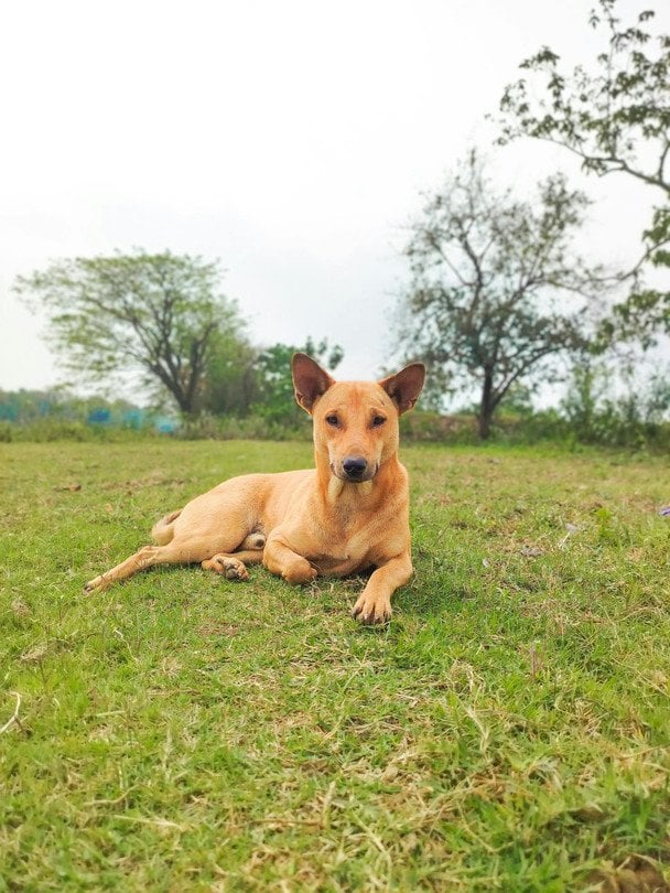 Фото: Pexels / © Pexels