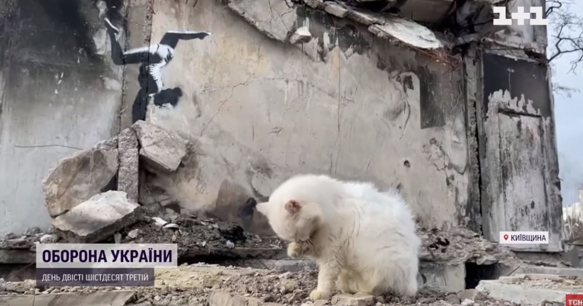 Українці стали першими, хто заскочили таємничого митця Бенксі за роботою: що побачили свідки