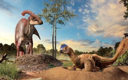 Ученые заподозрили динозавров в высиживании яиц