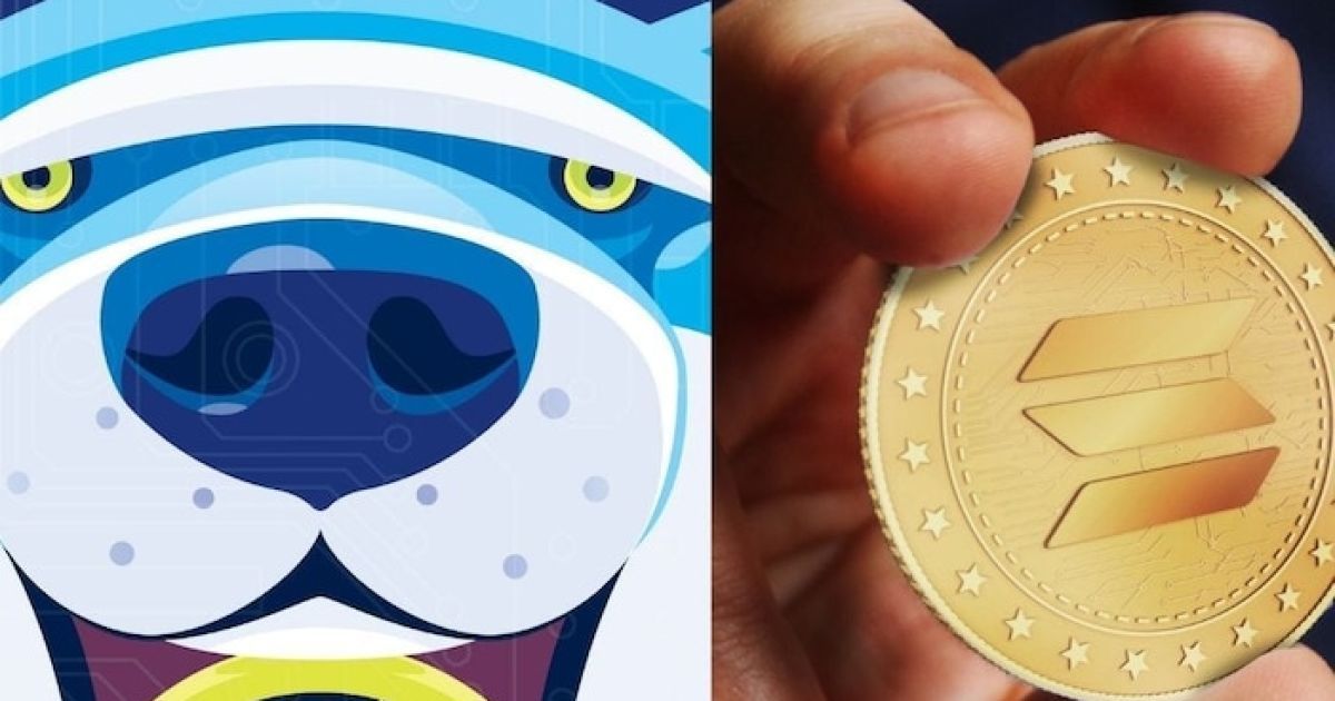 Фото: Twitter / SPORTS CIRCUS INT.