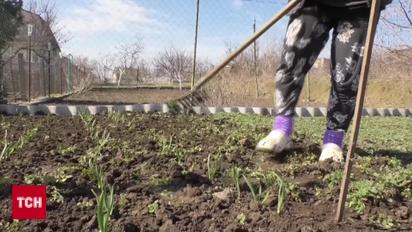 Засівають городи на зло ворогам: Запоріжжя під постійними атаками дронів, але продовжує жити