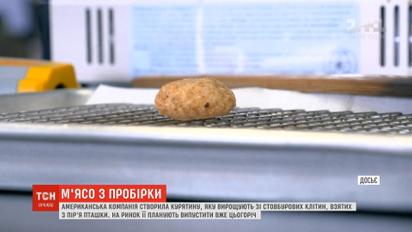 В США создали курятину, выращенную из стволовых клеток курицы, взятых из перьев