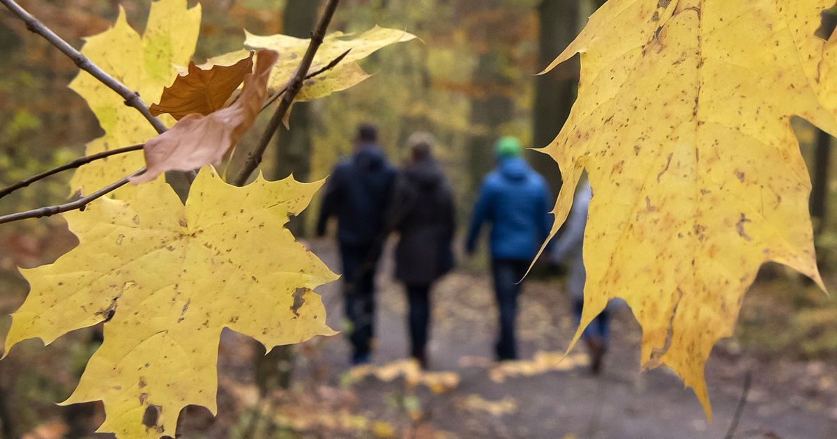 Трохи потепліє, а дощитиме лише на Заході: прогноз погоди на 28 вересня