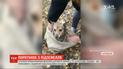 Комунальникам на Харківщині довелося діставати собаку з 10-метрової глибини