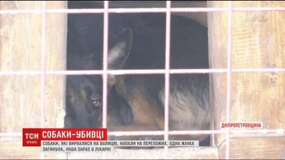 Псы загрызли насмерть женщину прямо посреди улицы на Днепропетровщине