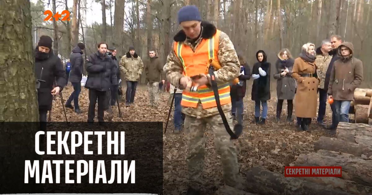 Во сколько обойдется запланированая властью массовая высадка деревьев – "Секретные материалы"