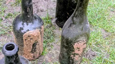 Провалля в гольф-клубі_1 / © Davyhulme Park Golf Club