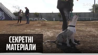 Собаки проти коронавірусу – "Секретні матеріали"