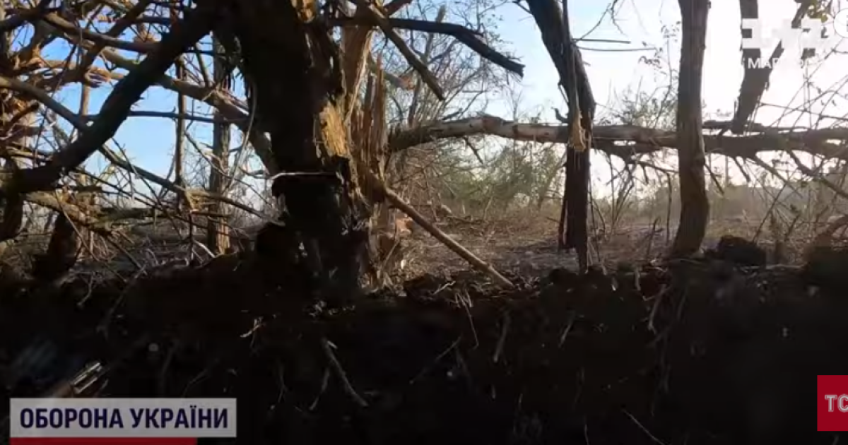 Война в Украине