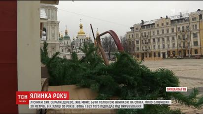 На Софийской площади продолжаются приготовления к приезду главного дерева страны