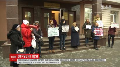 Заседание суда по делу отравления собак сорвалось из-за протеста зоозащитников