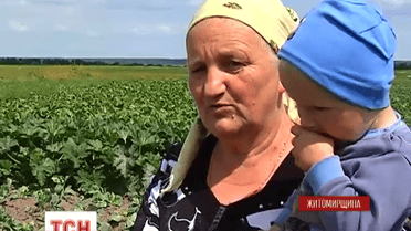 В селе Агатовка Житомирской области из-за химикатов у селян пожелтели все овощи