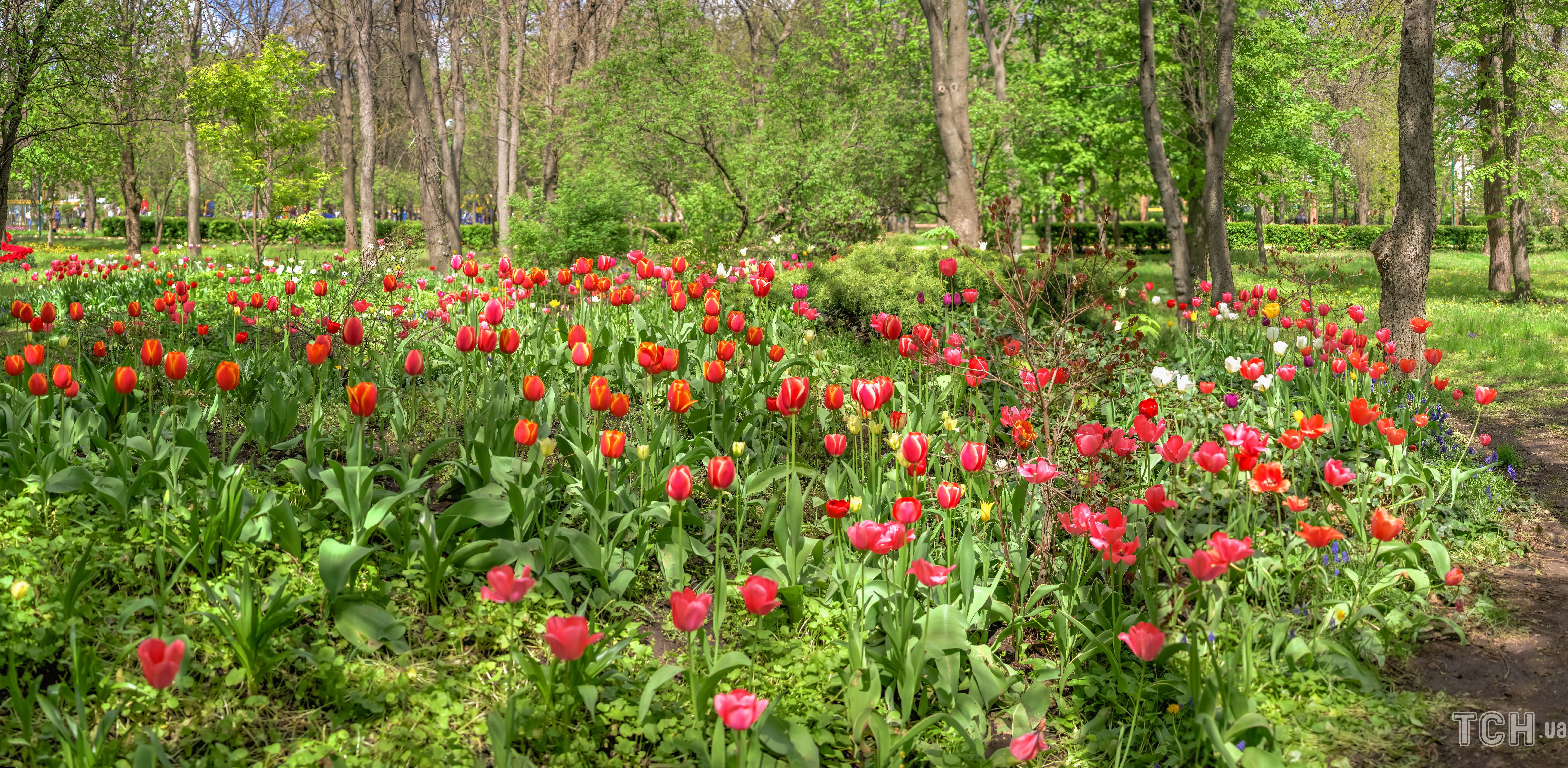 Кропивницький / © Credits