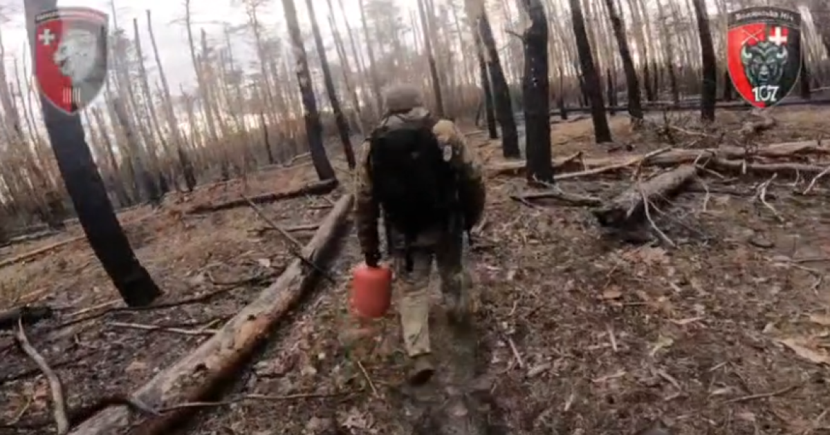 Серебрянський ліс