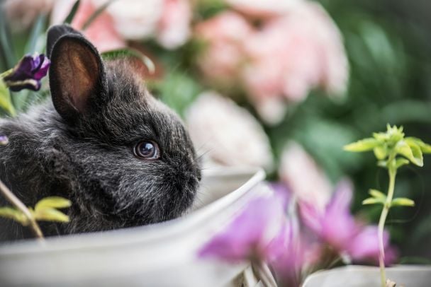 Короткие стишки на Пасху для малышей / © Unsplash