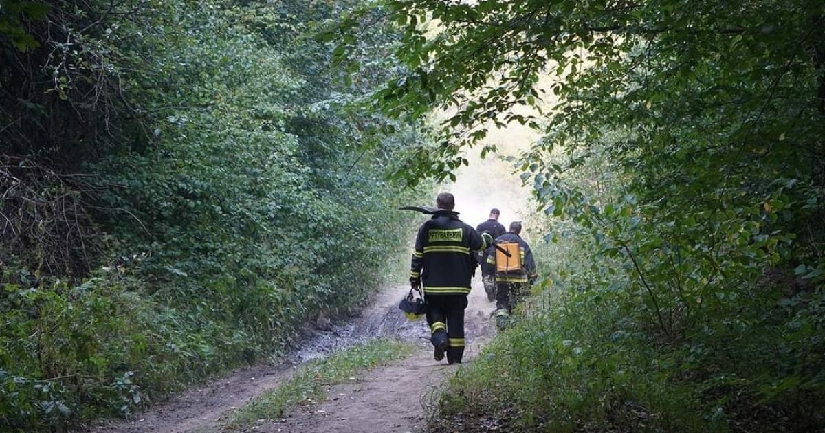 На Закарпатті горів ліс на на горі Савчин / © Управління ДСНС України у Закарпатській області