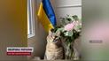 Кіт, який причарував Брітні Спірз: Степан повернувся до рідного Харкова