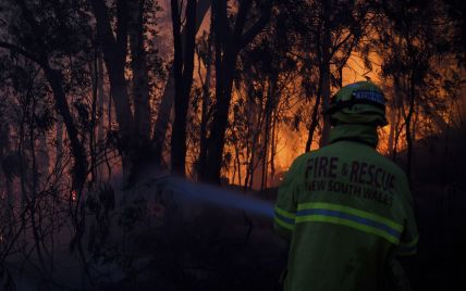 В Австралії пожежники врятували від вогню будинок і залишили власникові записку, що винні йому молока