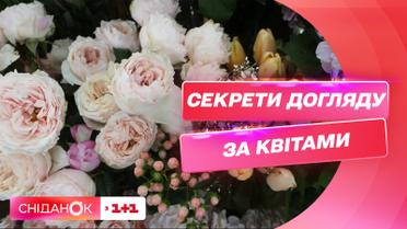 Продлеваем жизнь цветам: полезные советы от флориста Лилии Пономаренко