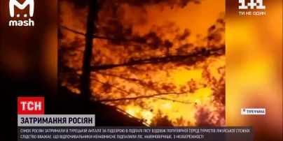 Новини світу: в Анталії затримали 7 росіян за підозрою в підпалі лісу вздовж Лікійської стежки