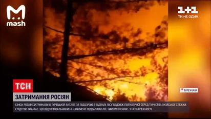 Новини світу: в Анталії затримали 7 росіян за підозрою в підпалі лісу вздовж Лікійської стежки