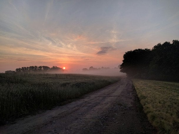 Народні прикмети 10 серпня / © unsplash.com