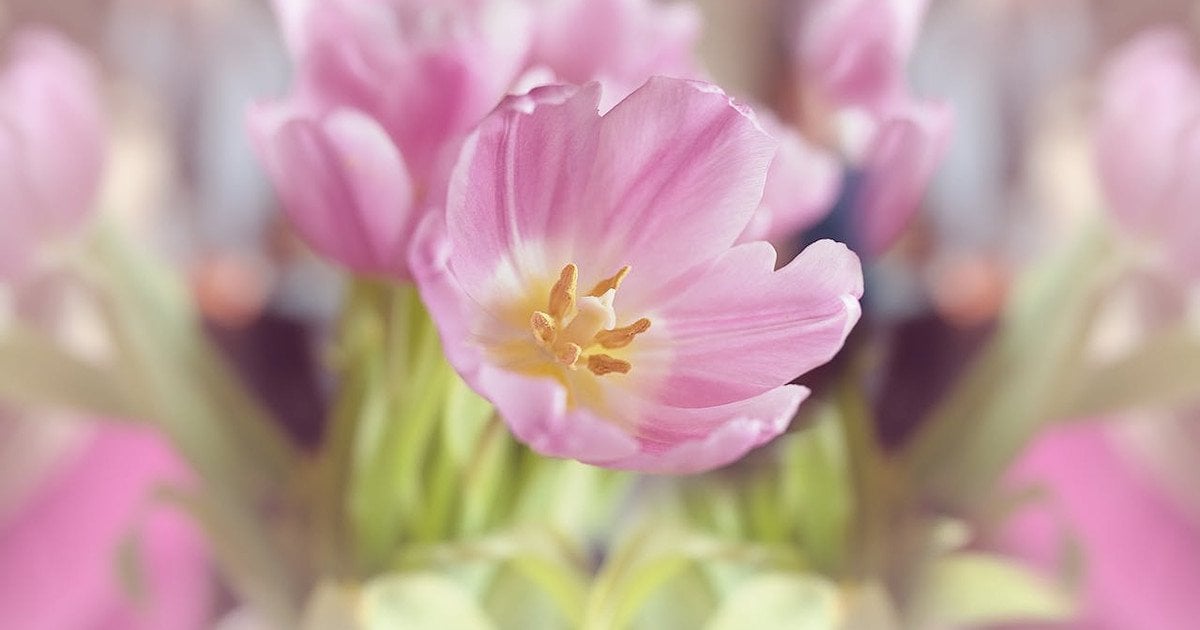 Какой сегодня, 1 апреля, день ангела