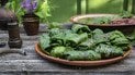 Фарширований мангольд
