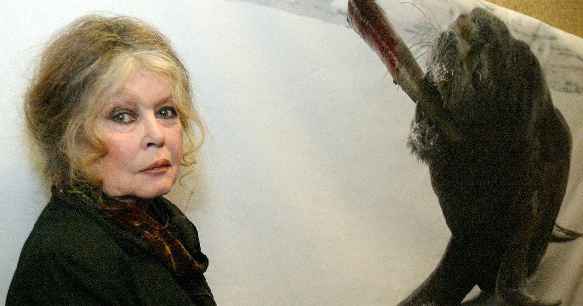 Бріжіт Бардо